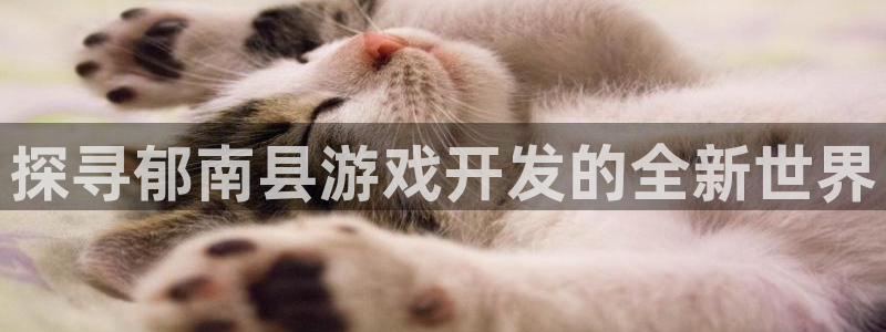 沐鸣娱乐注册平台怎么样：探寻郁南县游戏开