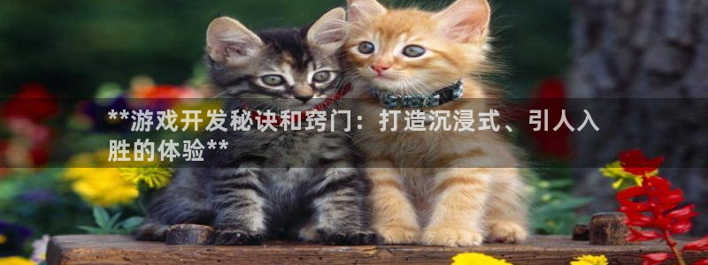 沐鸣娱乐二：**游戏开发秘诀和窍门：打造