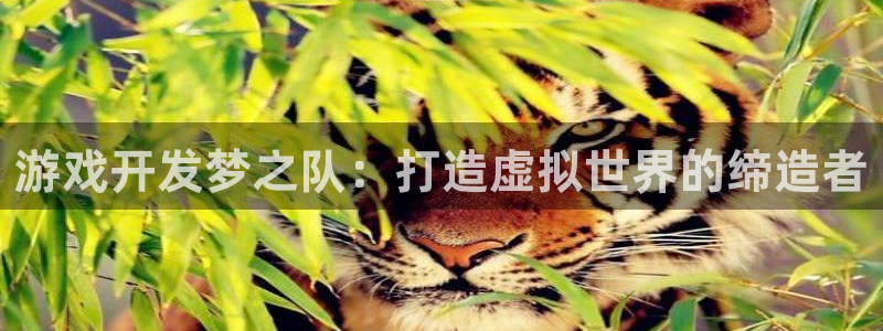 沐鸣娱乐平台怎么样啊：游戏开发梦之队：打