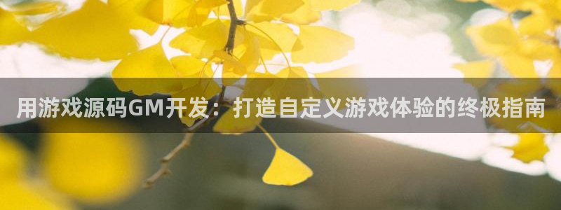 沐鸣娱乐官方网站首页：用游戏源码GM开发