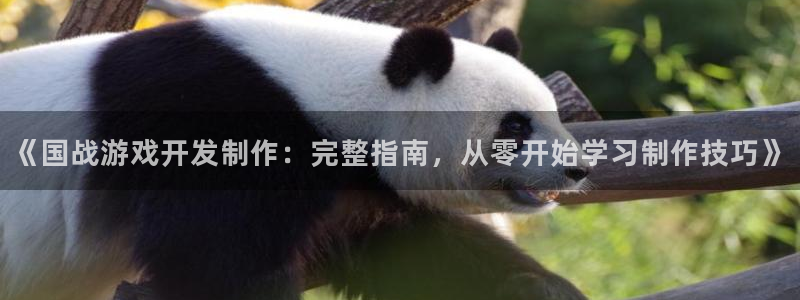 沐鸣平台登录：《国战游戏开发制作：完整指