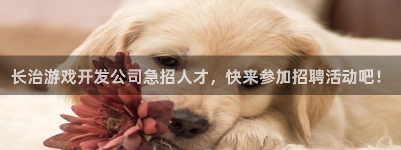 沐鸣平台官方网站：长治游戏开发公司急招人
