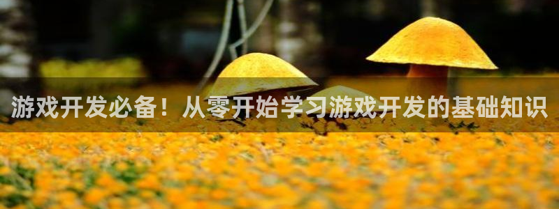 沐鸣娱乐平台大不大呀：游戏开发必备！从零