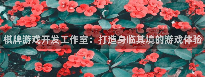 沐鸣娱乐是国外的吗：棋牌游戏开发工作室：