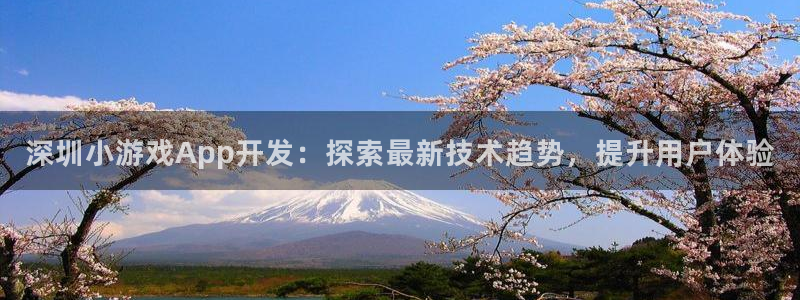 沐鸣4开户：深圳小游戏App开发：探索最