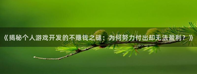 沐鸣科技有限公司：《揭秘个人游戏开发的不