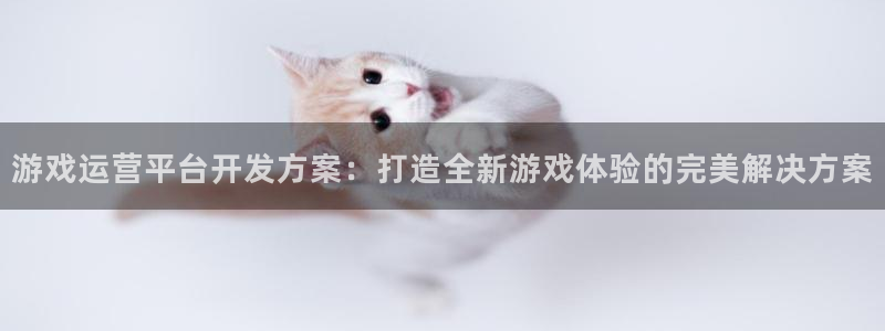 沐鸣注册网站：游戏运营平台开发方案：打造
