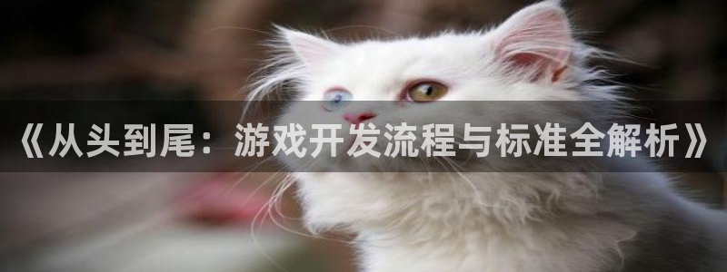 沐鸣娱乐注册平台：《从头到尾：游戏开发流