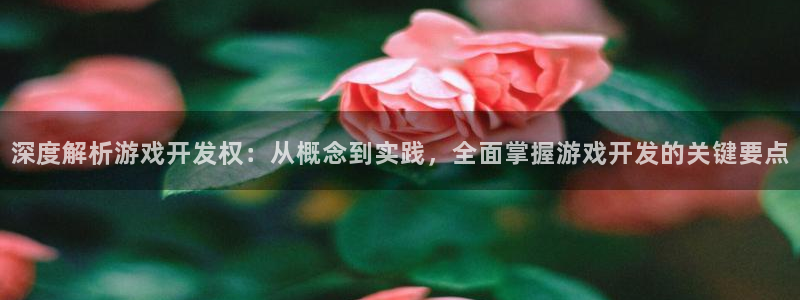 沐鸣是什么：深度解析游戏开发权：从概念到