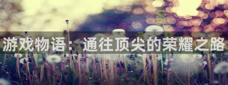 沐鸣娱乐害人：游戏物语：通往顶尖的荣耀之