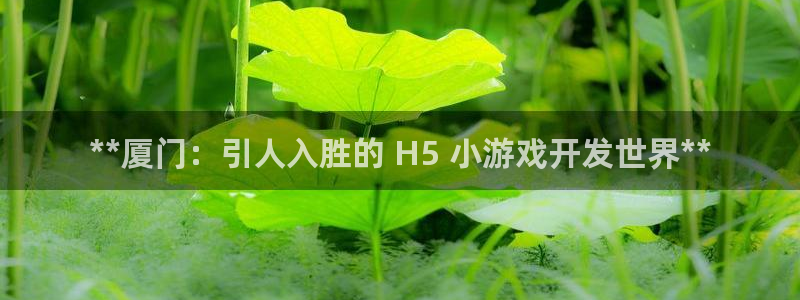 沐鸣1登陆：**厦门：引人入胜的 H5 