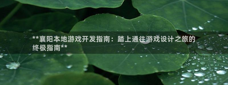 沐鸣总代~53866：**襄阳本地游戏开