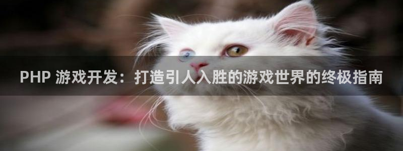 沐鸣娱乐平台登录：PHP 游戏开发：打造