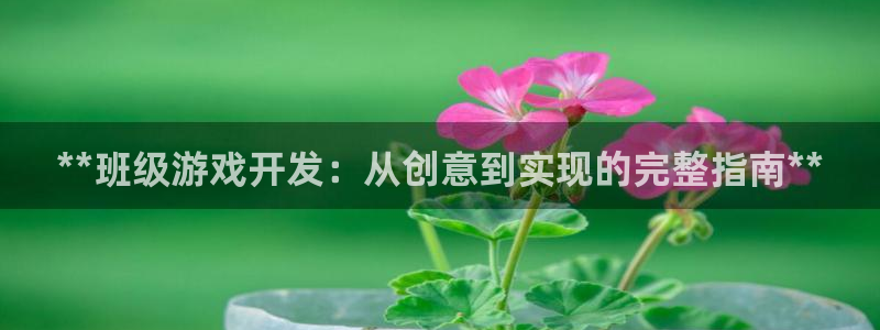 沐鸣平台注册登陆：**班级游戏开发：从创