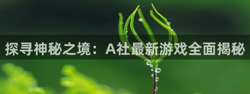 沐鸣平台代理注册多少钱一年啊：探寻神秘之