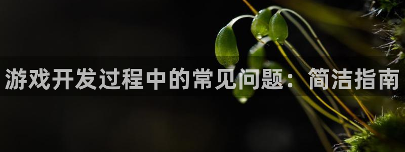 沐鸣娱乐是真的吗：游戏开发过程中的常见问