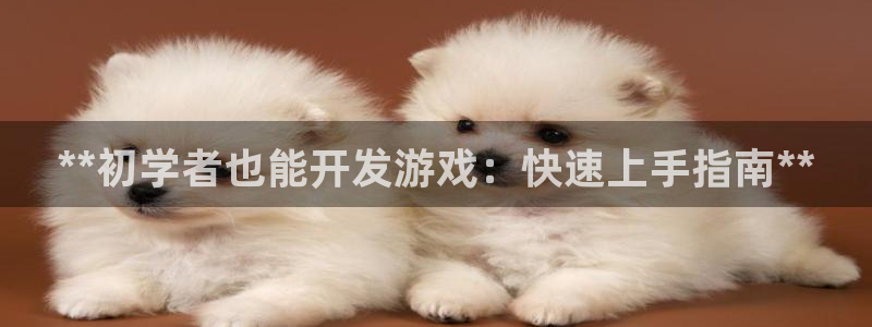 沐鸣4开户：**初学者也能开发游戏：快速