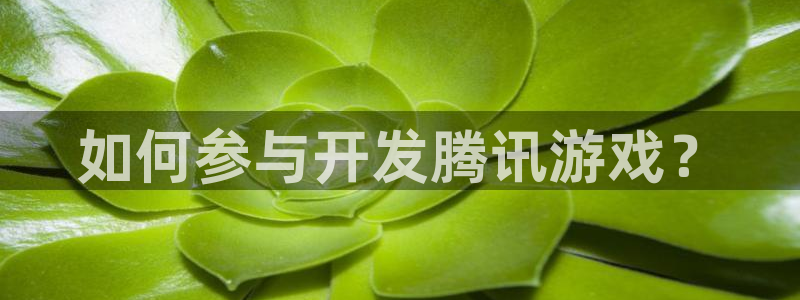 沐鸣娱乐是真的吗还是假的：如何参与开发腾