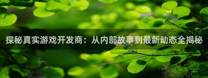 沐鸣科技有哪些产品啊：探秘真实游戏开发商