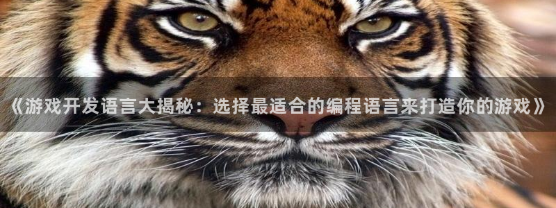 沐鸣平台168：《游戏开发语言大揭秘：选