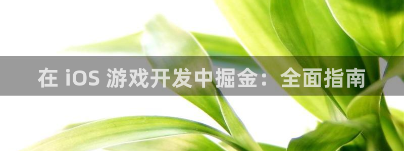 沐鸣娱乐在线登录：在 iOS 游戏开发中