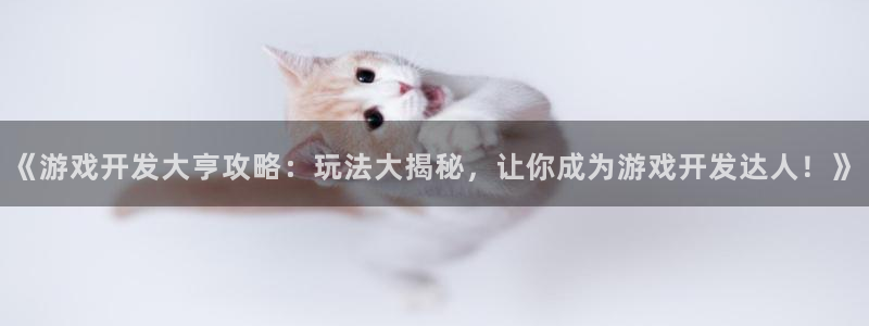 沐鸣平台代理注册多少钱一年啊：《游戏开发