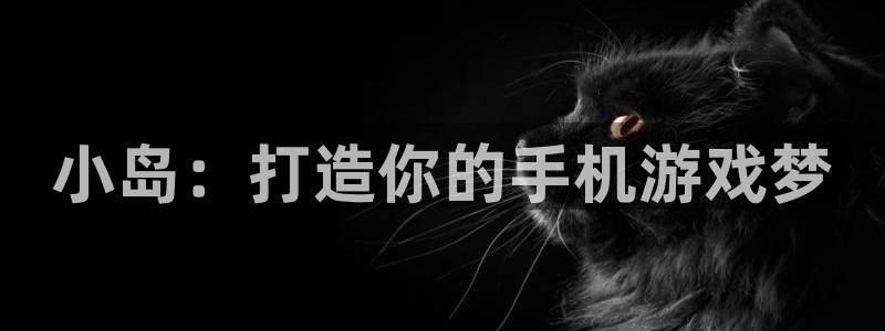 沐鸣娱乐1：小岛：打造你的手机游戏梦