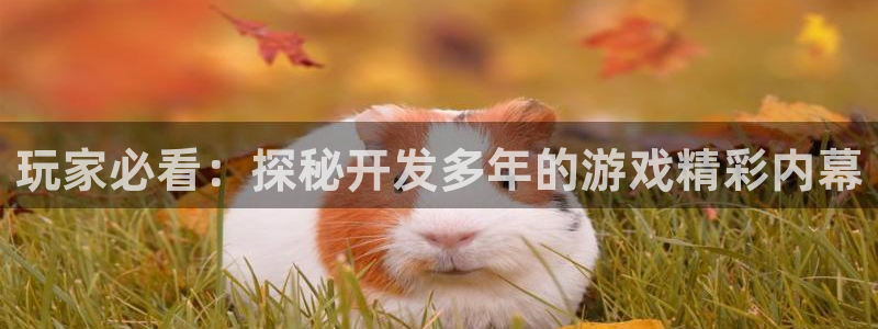 沐鸣怎么注册：玩家必看：探秘开发多年的游