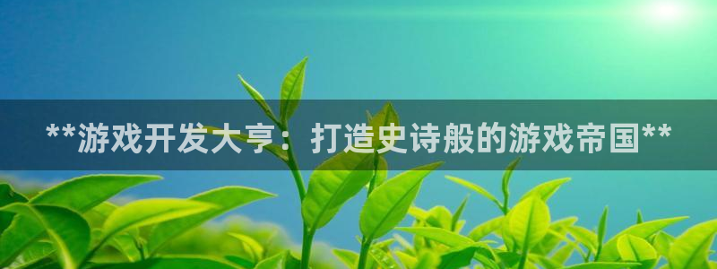 沐鸣文化传媒有限公司：**游戏开发大亨：