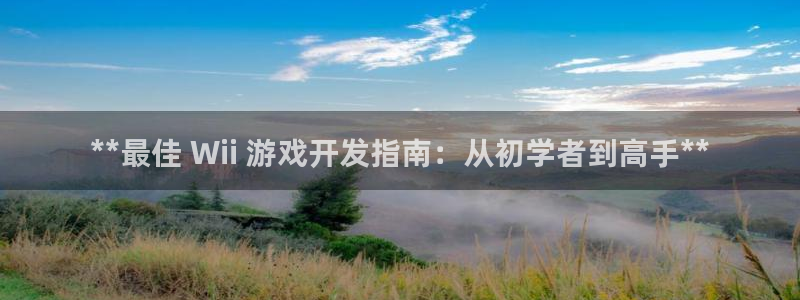沐鸣娱乐1：**最佳 Wii 游戏开发指
