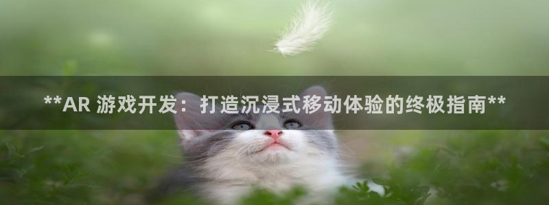 沐鸣平台代理注册多少钱啊：**AR 游戏