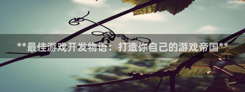 沐鸣4代理：**最佳游戏开发物语：打造你自己的游戏