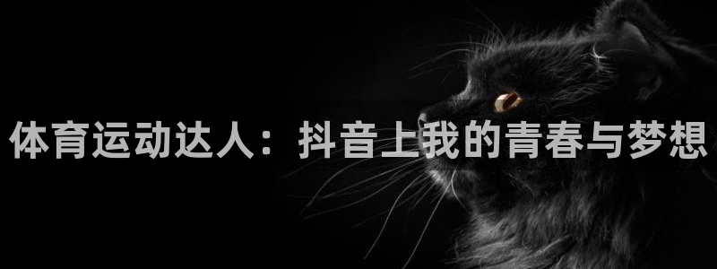 哈哈体育十年